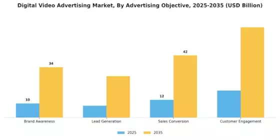 Digital Video Advertising Market Segment Image 2
