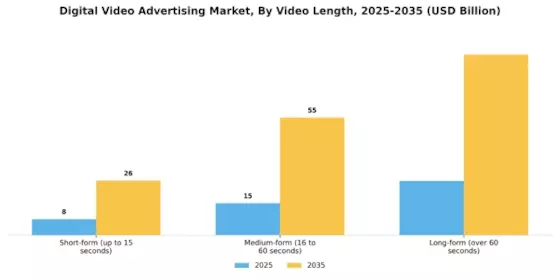 Digital Video Advertising Market Segment Image 4