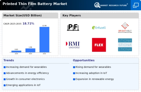 Printed Thin Film Battery Market Infographic