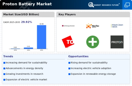 Proton Battery Market Infographic