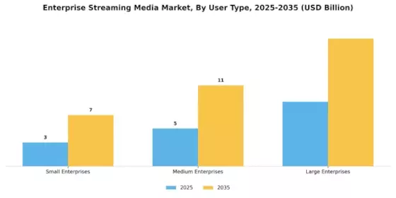 Enterprise Streaming Media Market Segment Image 3
