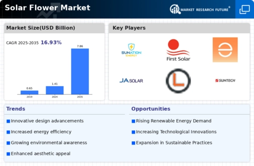 Solar Flower Market Infographic