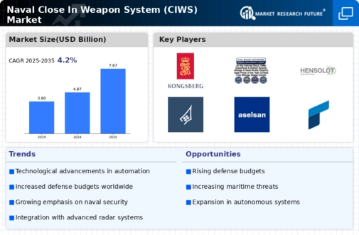Naval Close In Weapon System Ciws Market Infographic