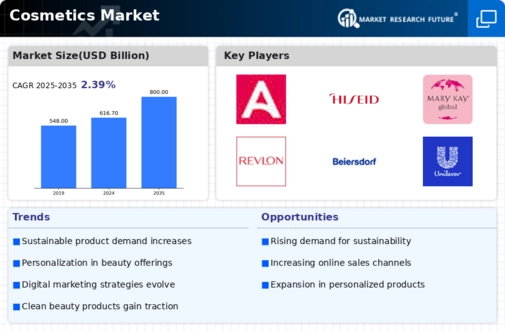 Cosmetic Products Market Infographic