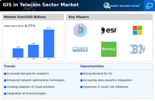 GIS in the Telecom Sector Market Infographic