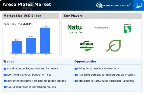 Areca Plates Market Infographic