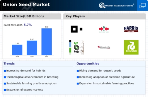 Onion Seed Market Infographic