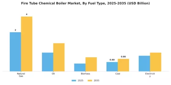 Fire Tube Chemical Boiler Market Segment Image 1
