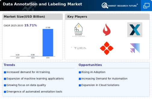 Data Annotation And Labelling Market Infographic