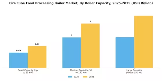 Fire Tube Food Processing Boiler Market Segment Image 0