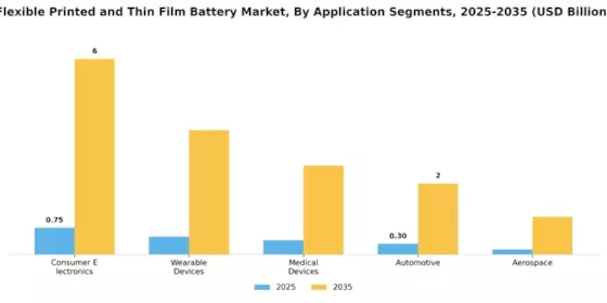 Flexible Printed Thin Film Battery Market Segment Image 1