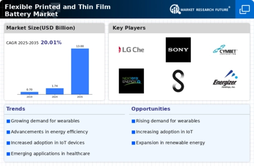 Flexible Printed Thin Film Battery Market Infographic