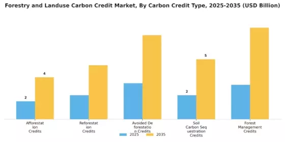 Forestry Landuse Carbon Credit Market Segment Image 0