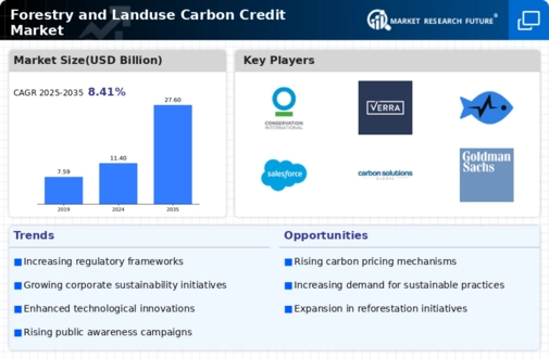 Forestry Landuse Carbon Credit Market Infographic