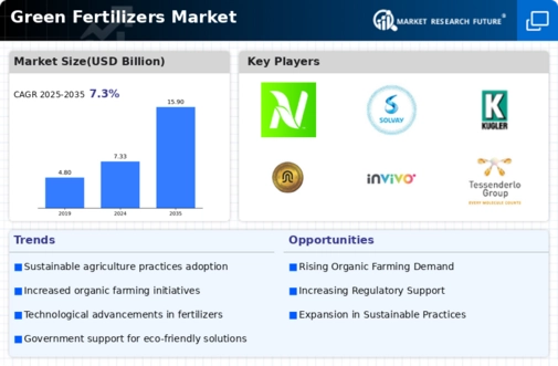Green Fertilizers Market Infographic