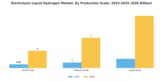 Electrolysis Liquid Hydrogen Market Segment Image 2