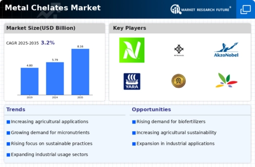 Metal Chelates Market Infographic