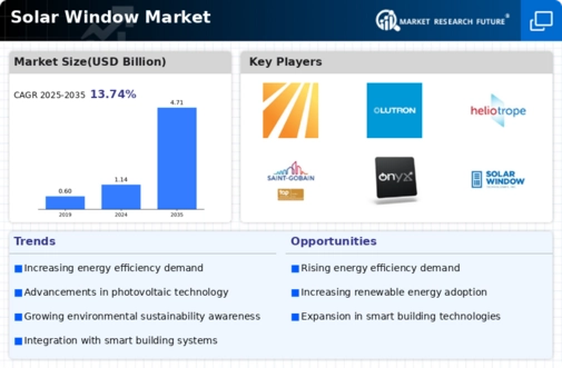 Solar Window Market Infographic