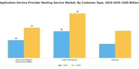 Application Service Provider Hosting Service Market Segment Image 3