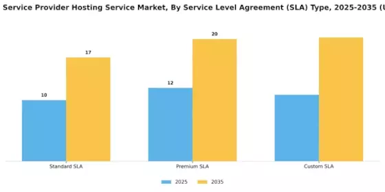 Application Service Provider Hosting Service Market Segment Image 4