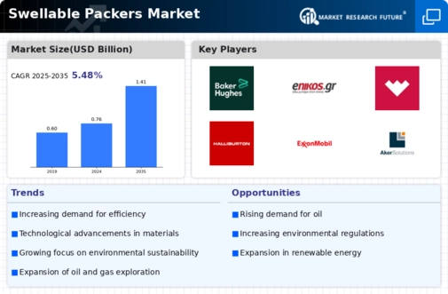 Swellable Packers Market Infographic