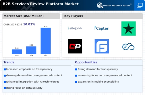 B2B Services Review Platform Market
 Infographic