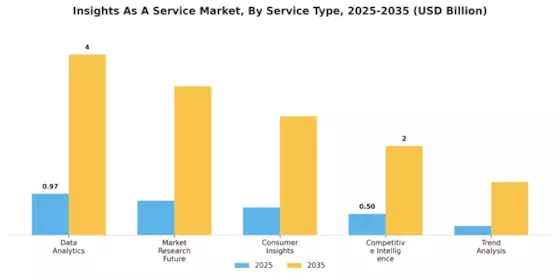 Insights As A Service Market Segment Image 0