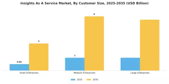 Insights As A Service Market Segment Image 3