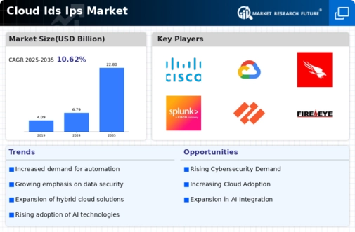 Cloud IDS IPS Market Infographic