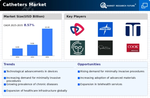 Catheters Market Infographic