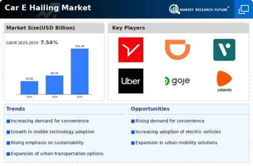 Car E Hailing Market
 Infographic