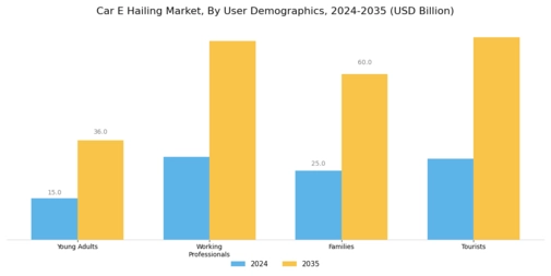 Car E Hailing Market
 Segment Image 2