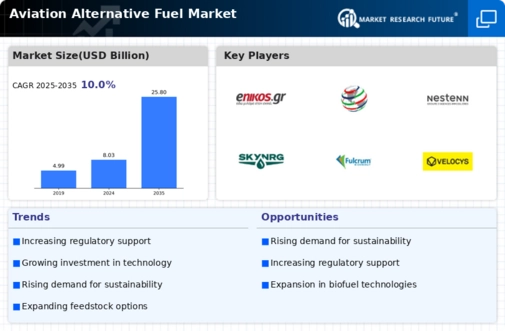 Aviation Alternative Fuel Market Infographic