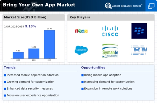 Bring Your Own App Market Infographic