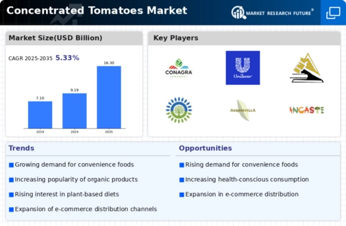 Concentrated Tomatoes Market  Infographic
