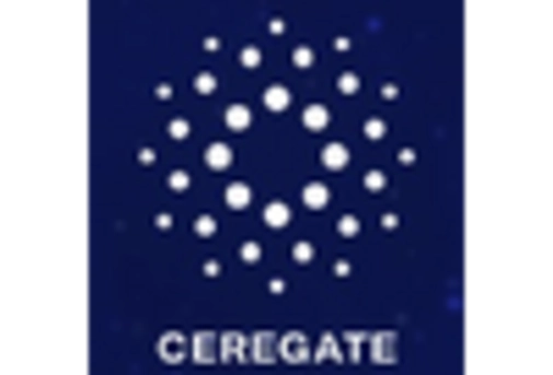 Brain Pacemaker Market
 key player