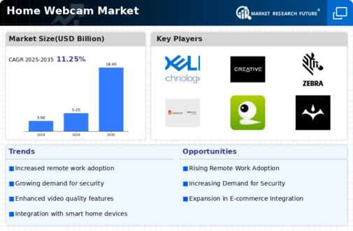 Home Webcam Market
 Infographic