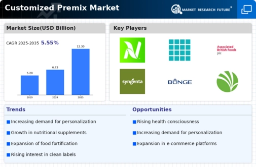 Customized Premix Market  Infographic