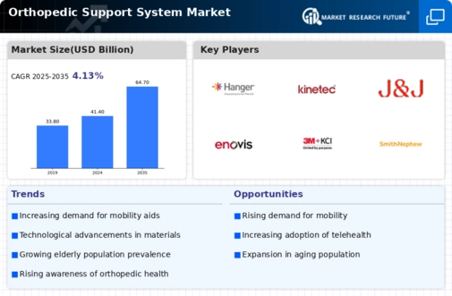 Orthopedic Support System Market Infographic