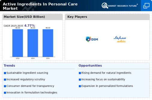 Personal Care Active Ingredient Market Infographic