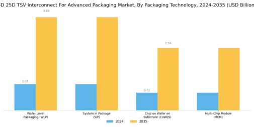 3D 25D TSV Interconnect Advanced Packaging Market Segment Image 3
