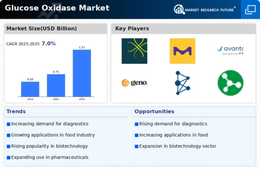 Glucose Oxidase Market Infographic