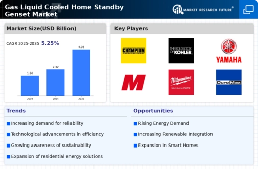 Gas Liquid Cooled Home Standby Genset Market Infographic