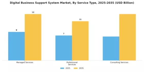 Digital Business Support System Market Segment Image 2