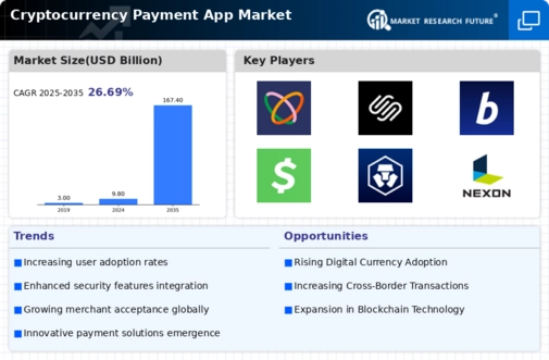 Cryptocurrency Payment App Market Infographic