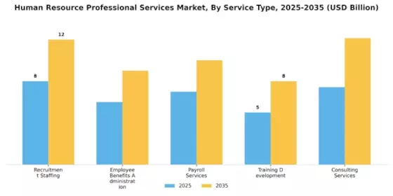Human Resource Professional Services Market Segment Image 0