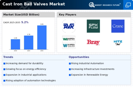 Cast Iron Ball Valves Market Infographic