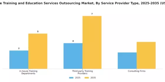 Healthcare Training and Education Services Outsourcing Market Segment Image 1
