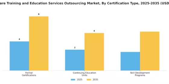 Healthcare Training and Education Services Outsourcing Market Segment Image 4