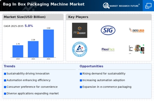 Bag In Box Packaging Machine Market Infographic